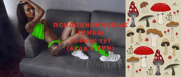 не бодяженный Абаза