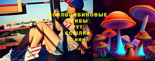 не бодяженный Абаза