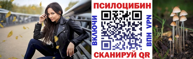 Галлюциногенные грибы Psilocybe  закладка  Богородск 